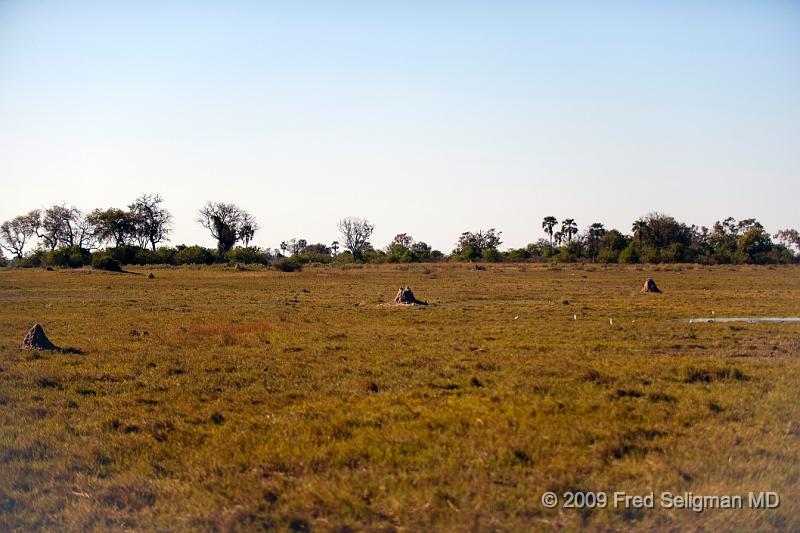 20090616_160321 D3 X1.jpg - Termite Mound, Selinda Spillway, Botswana